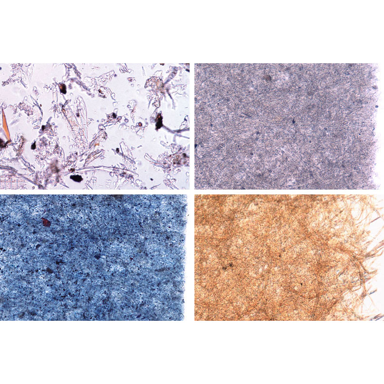 紙の種類 英語版 日本スリービー サイエンティフィック