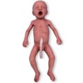 Lifecastマネキン，新生児（早産児）