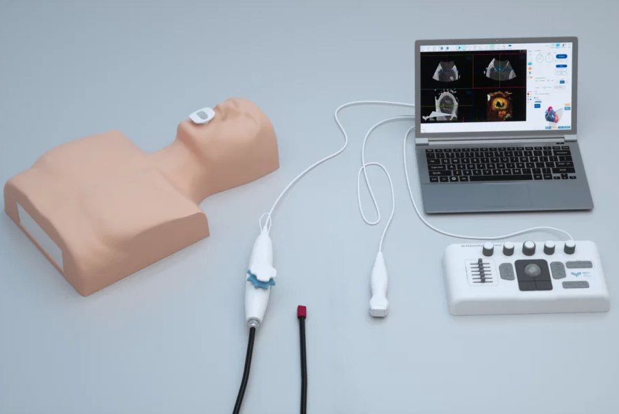 MrTEEmothy シナジー（TEE + TTE） | 日本スリービー・サイエンティ