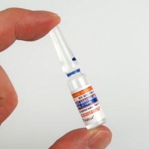 実物に近い外観を再現