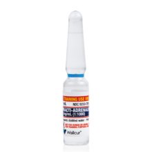 Practiアドレナリン 1mg/1mL アンプル 100本入