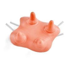 ヘレフォード乳頭パーツ