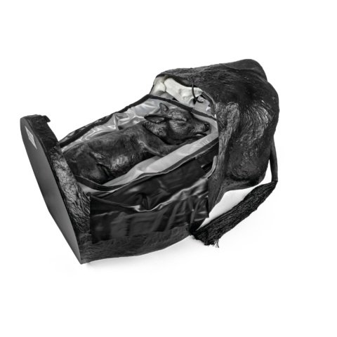 コンパクト型ウシの分娩練習模型