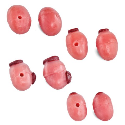 ウシの卵巣模型セット