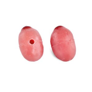 成熟卵胞を有する卵巣