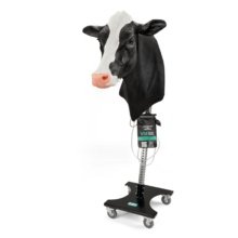 ウシの頚部静脈穿刺・筋肉注射トレーニング模型