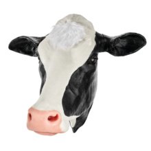 ウシの安楽死トレーニング用頭部モデル，ホルスタイン