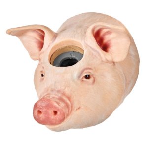 食肉用：頭部解放時