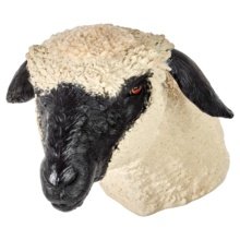 ヒツジの安楽死トレーニング用頭部モデル