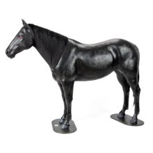 ウマの疝痛触診シミュレーター