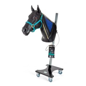 頚部皮膚取り外し時・側面