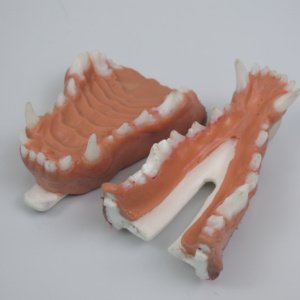 抜歯，歯肉切開・縫合用