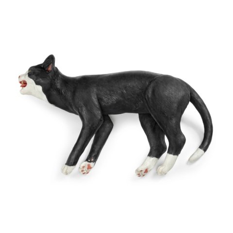 ネコ診療シミュレーター