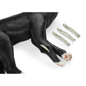 取り換え式の骨折部