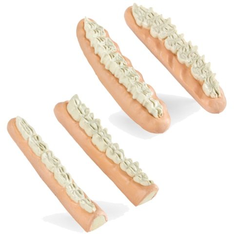 ウマの剪状歯パーツ