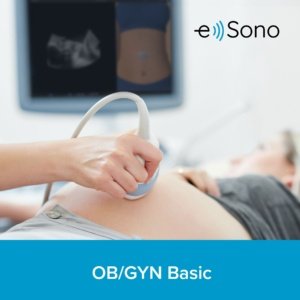 e Sono 産科婦人科ベーシックコース（3カ月ライセンス）