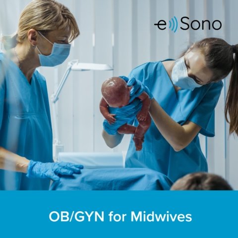 e Sono 助産師のための産科婦人科コース（3カ月シングルユーザーライセンス）