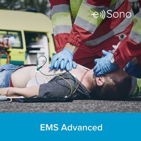 e Sono EMSアドバンスコース（3カ月シングルユーザーライセンス）