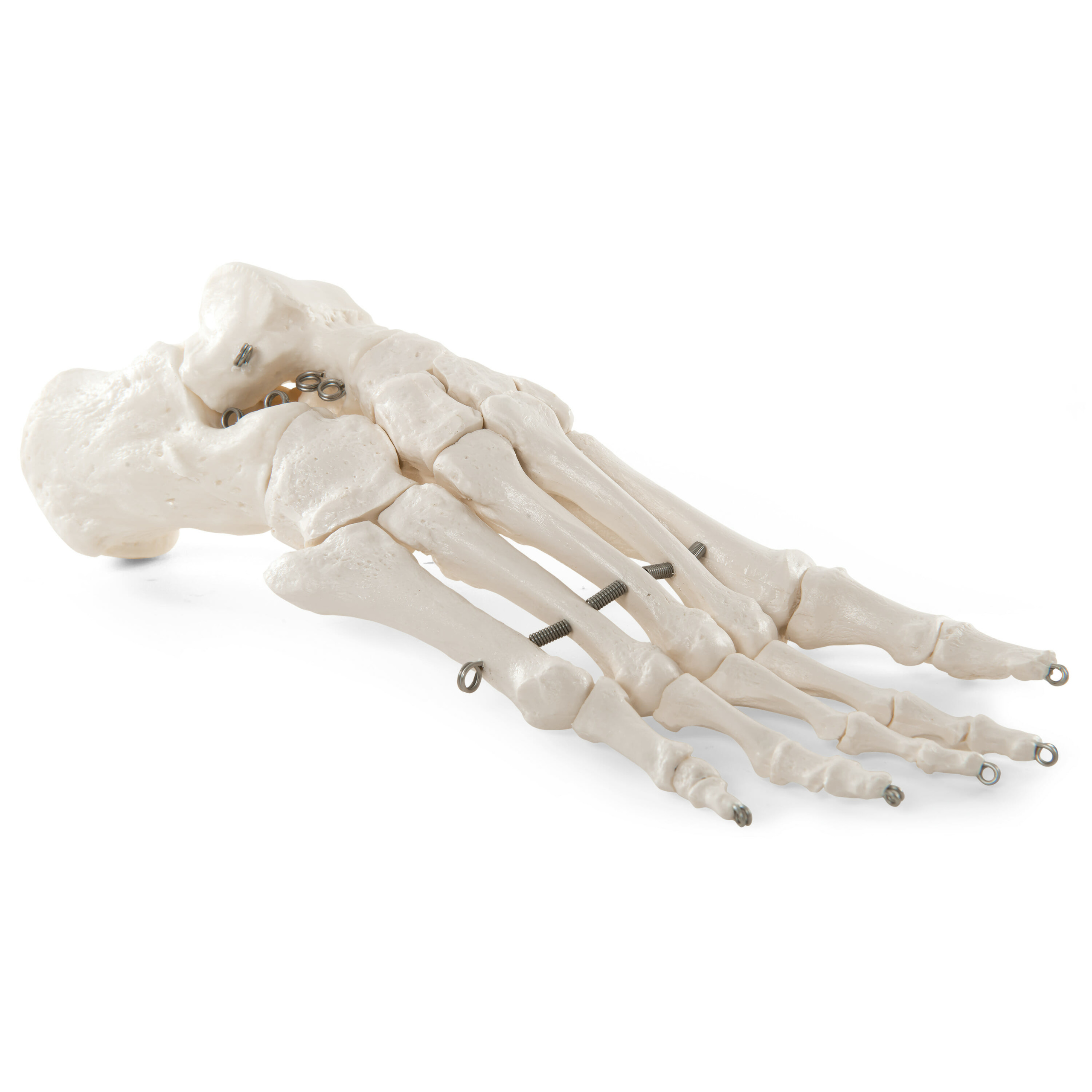 a30-scaled.jpg