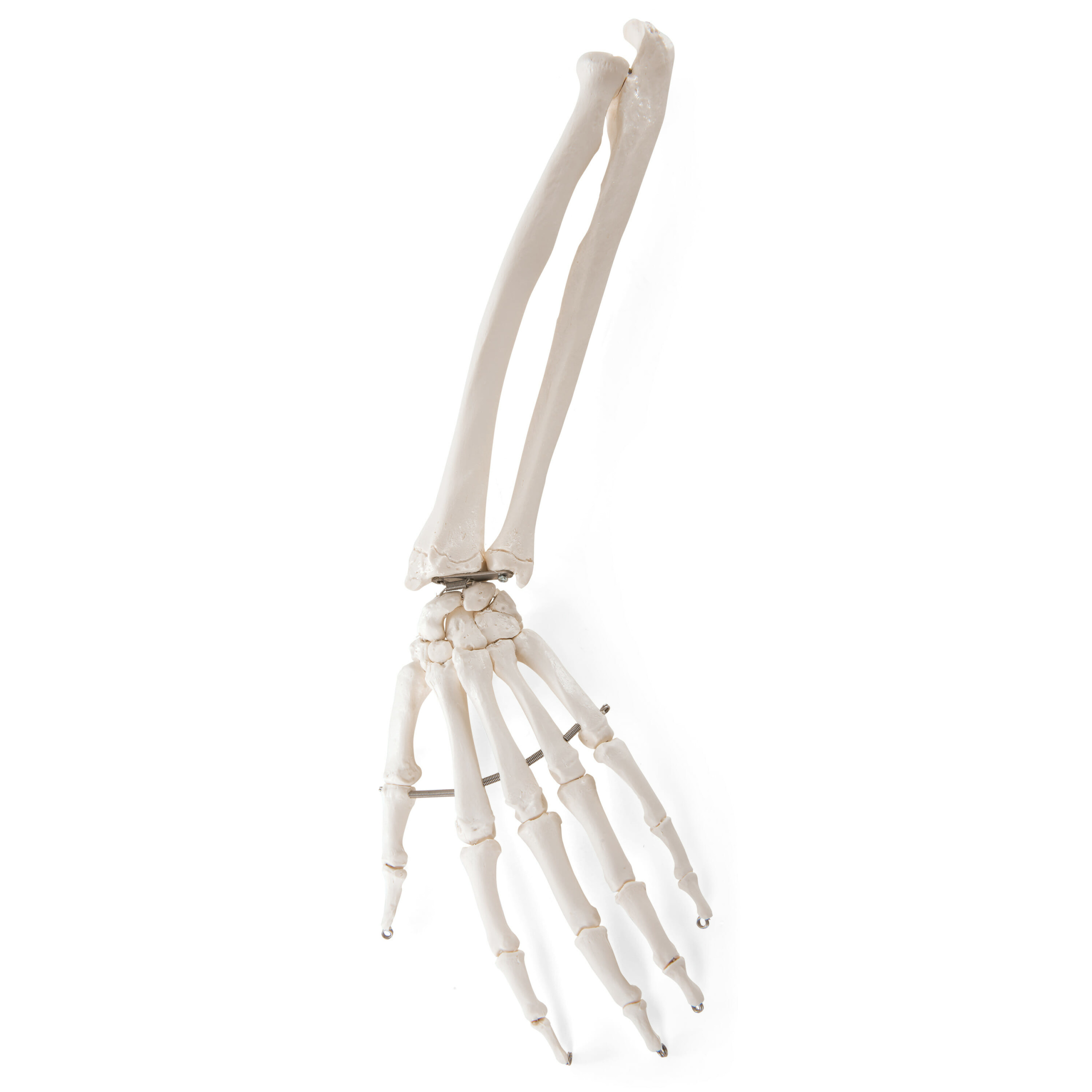 a41-scaled.jpg