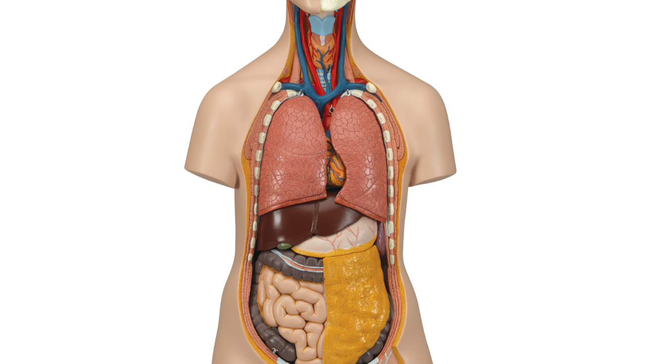 b09-1280x720.jpg