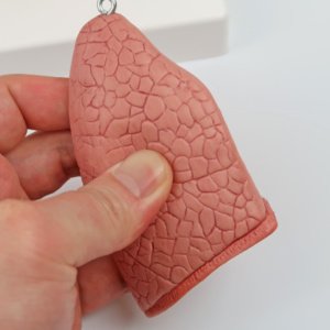 臓器は柔らかい素材です