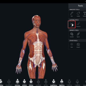 Complete Anatomy Cut-01