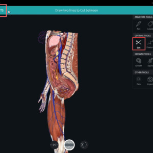 Complete Anatomy Cut-08