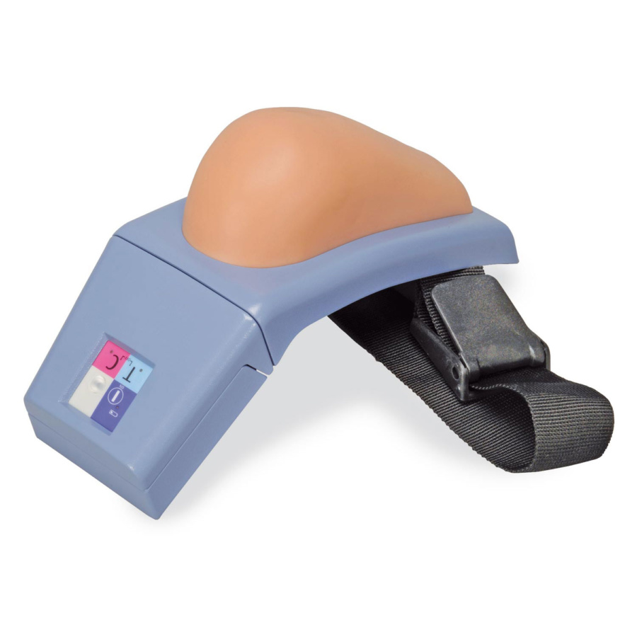 筋肉反射応用治療学 10-0311 筋肉注射トレーナー用皮膚及び筋層 日本ライトサービス