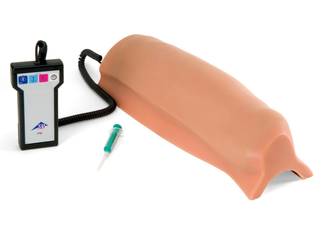 大腿部筋肉注射トレーニング用モデル | 日本スリービー