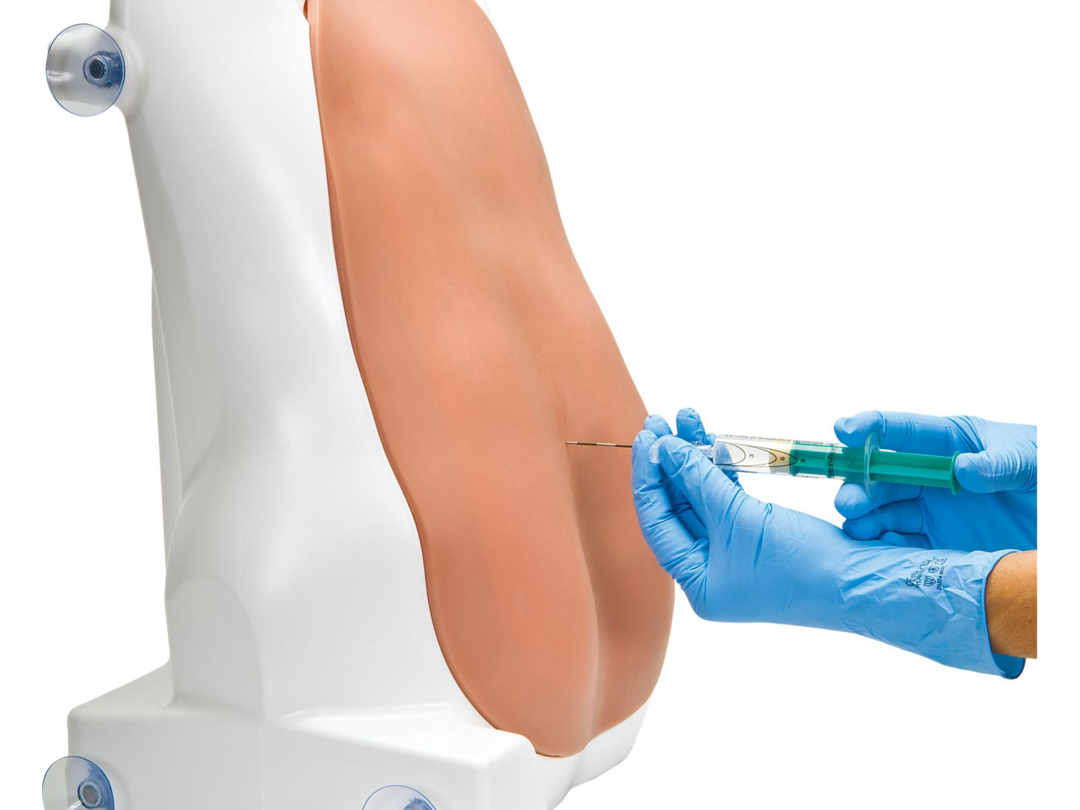 硬膜外 腰椎穿刺トレーナー 日本スリービー サイエンティフィック