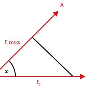 図2