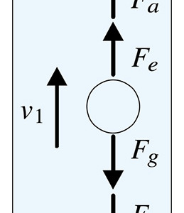 図1a：油滴上昇時に働く⼒