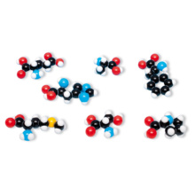アミノ酸分子模型組立キット