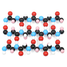 βシート構造タンパク質分子模型組立キット