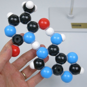チミン・アデニン(水素結合2つ)
