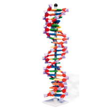 アドバンスド・DNA模型組立キット・22層（miniDNA™）