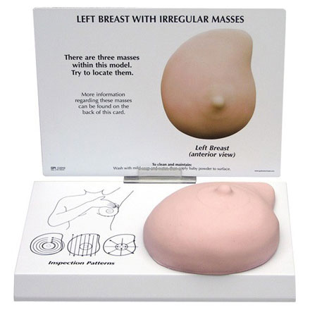 乳房検診モデル，繊維嚢胞性病変，乳管閉塞付