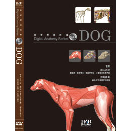 DVD デジタルアナトミーVol.1 Dog