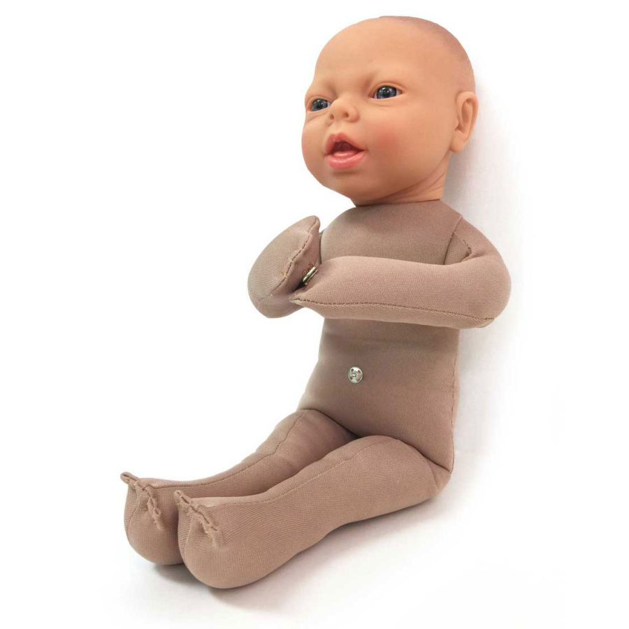 PNATOMY 胎児模型 約15cm PNATOMY 胎児模型 約15cm