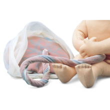 胎盤と臍帯