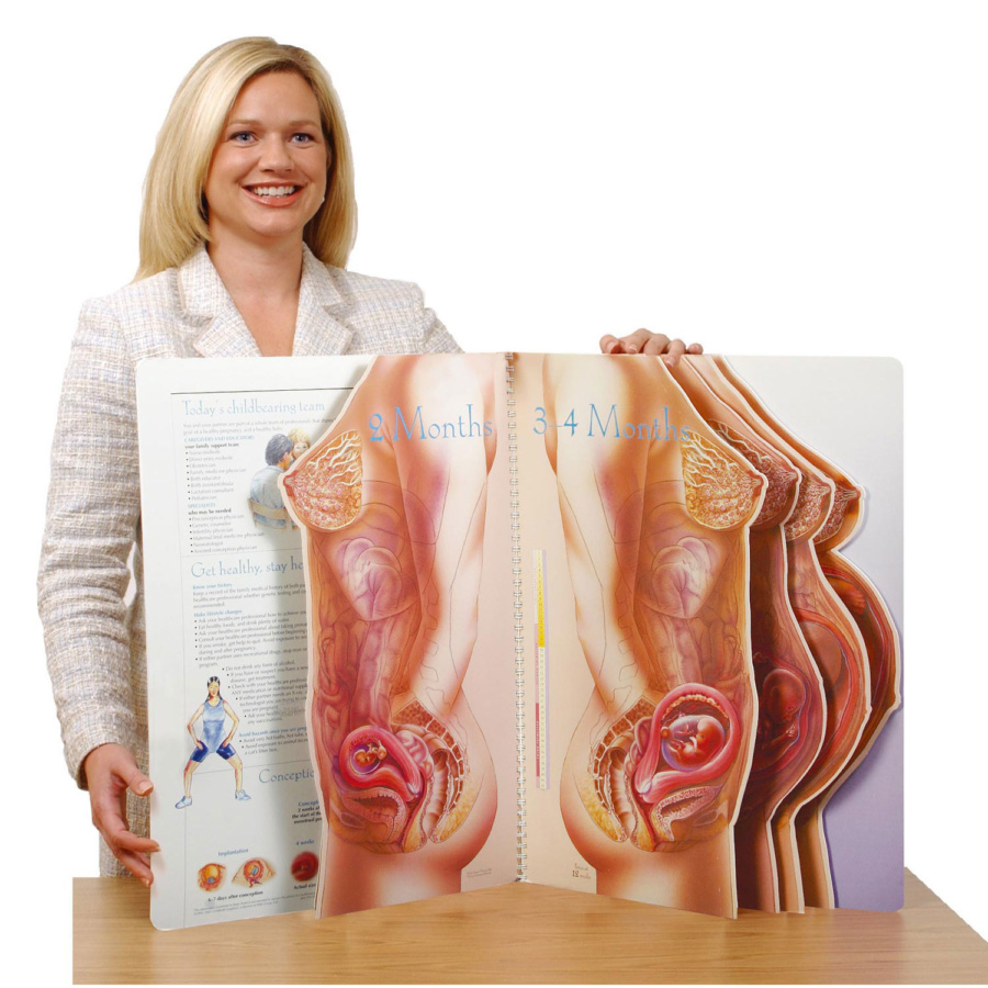 With Child〜妊娠実物大ディスプレイ | 日本スリービー・サイエンティ