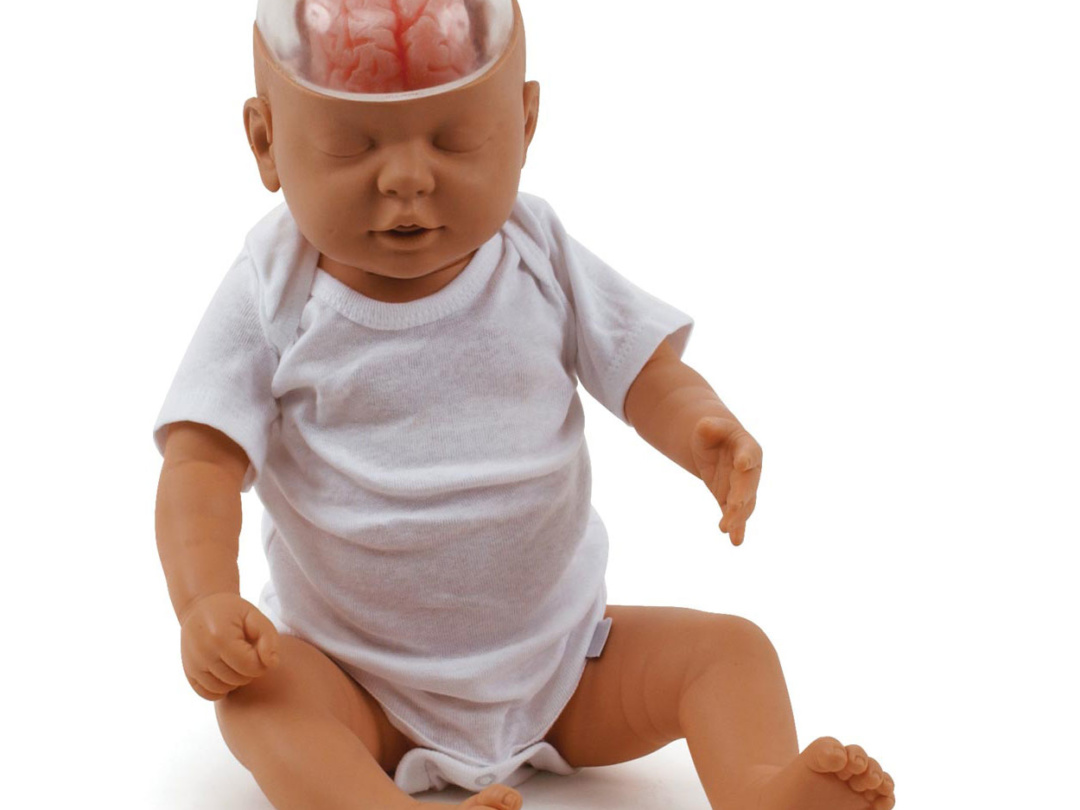 シェイクンベビー | 日本スリービー・サイエンティフィック