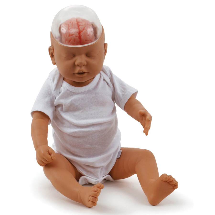 シェイクンベビー | 日本スリービー・サイエンティフィック