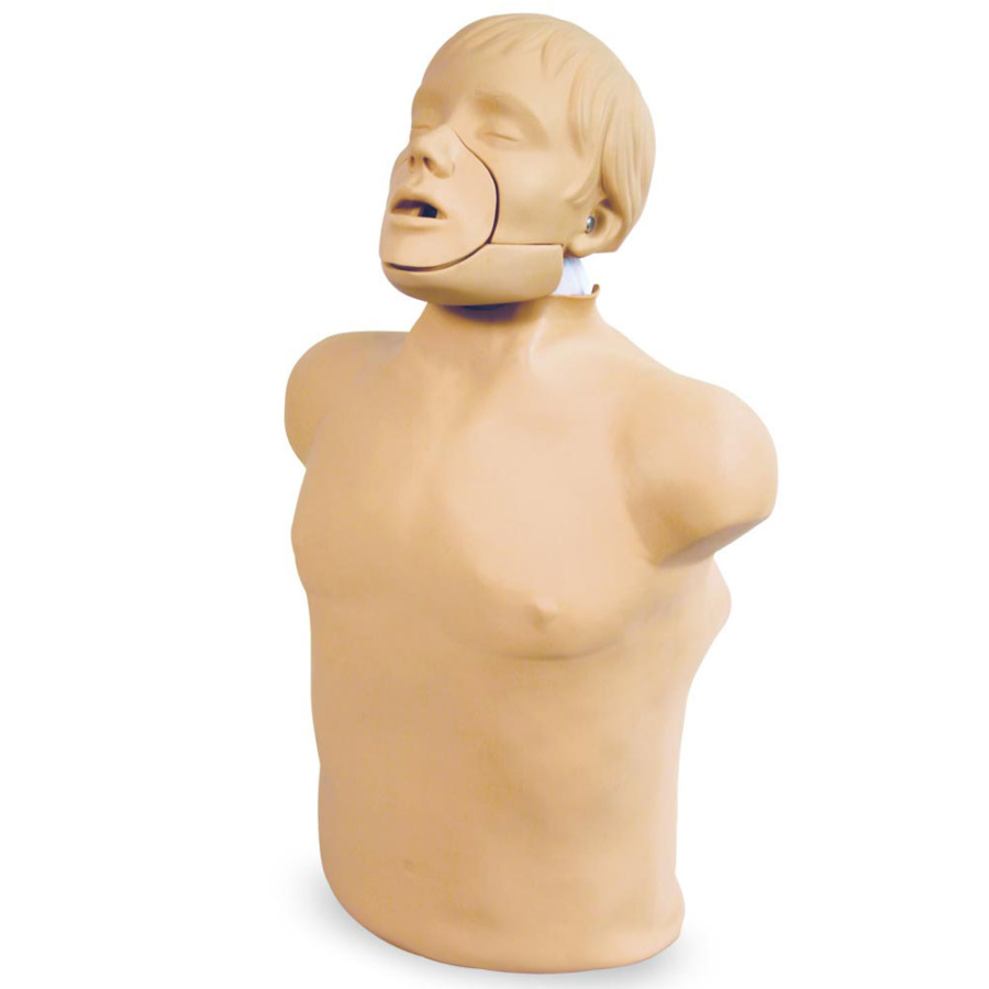 【ai様 2体】ベビー キッズ マネキン3 首足腕 稼働します！まとめ買い歓迎！ マネキン・トルソーの通販・販売｜ディスプレイプラン｜日本製