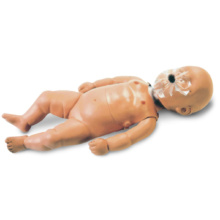心肺蘇生(CPR)・一次救命(BLS)の練習用人形｜3B Scientific