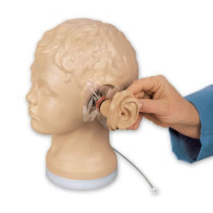 耳介は着脱式，中耳のカートリッジを差し替えて異なる症例の診断ができます