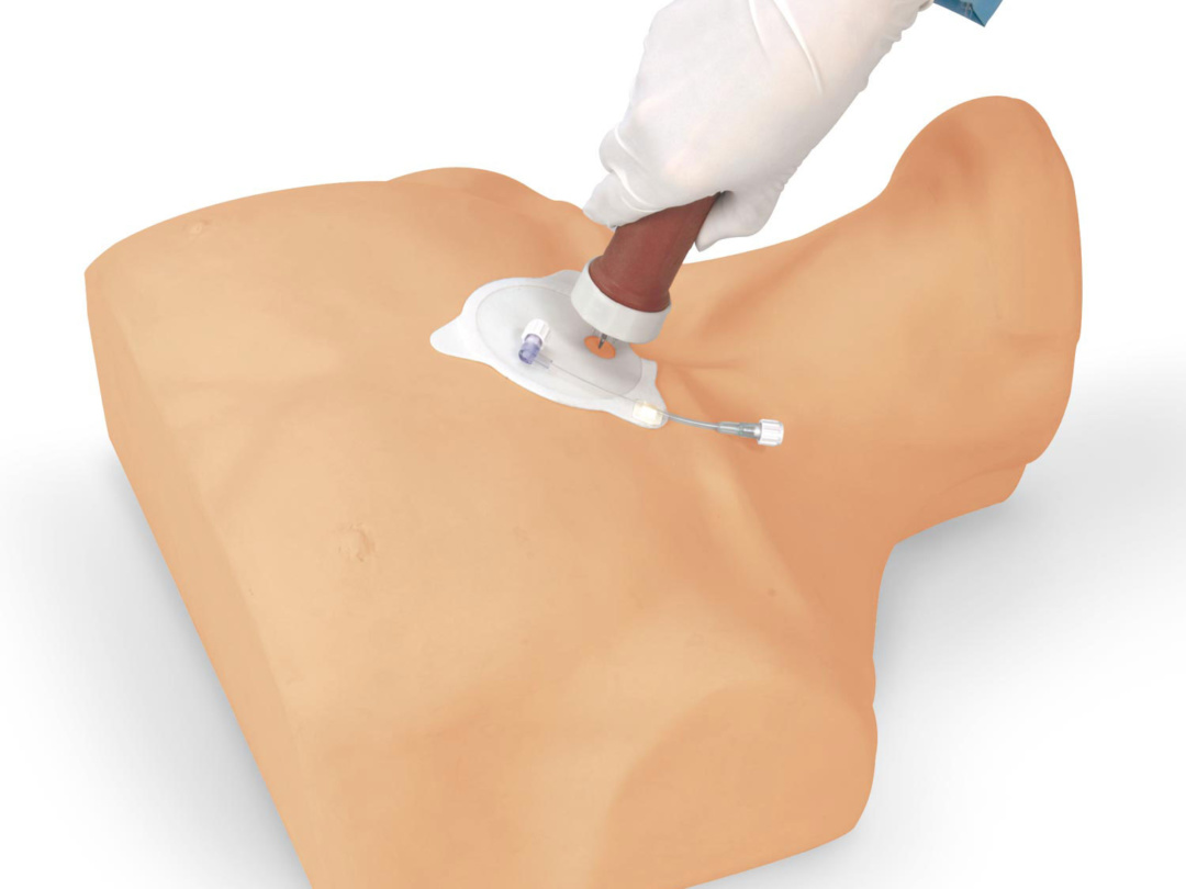 胸骨骨髄穿刺シミュレーター 日本スリービー サイエンティフィック