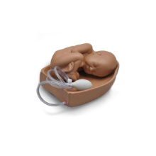 無関節胎児付，レオポルド手技用モジュール(W45025用)
