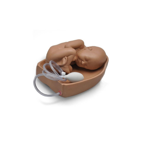 無関節胎児付，レオポルド手技用モジュール(W45025用)